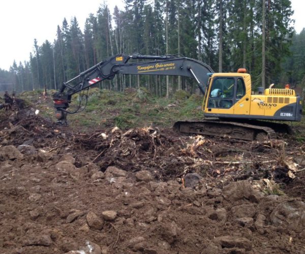 Fors-5-1030x773 Fors-5-1030x773